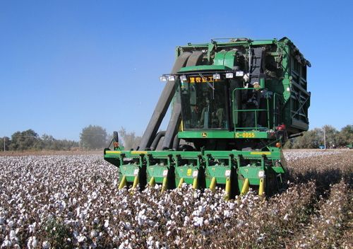 农业科技成果转化资金重大项目"微生物农药"在解决棉花生产的世界性